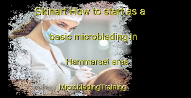 Skinart How to start as a basic microblading in Hammarset area | MicrobladingTraining | MicrobladingClasses | SkinartTraining-Norway