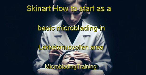 Skinart How to start as a basic microblading in Lakketariusvollen area | MicrobladingTraining | MicrobladingClasses | SkinartTraining-Norway