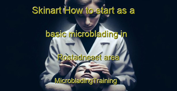 Skinart How to start as a basic microblading in Rostadneset area | MicrobladingTraining | MicrobladingClasses | SkinartTraining-Norway