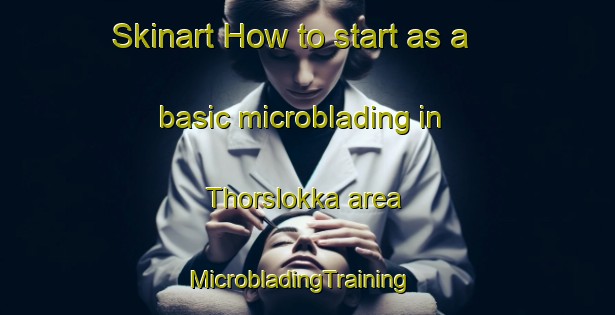 Skinart How to start as a basic microblading in Thorslokka area | MicrobladingTraining | MicrobladingClasses | SkinartTraining-Norway