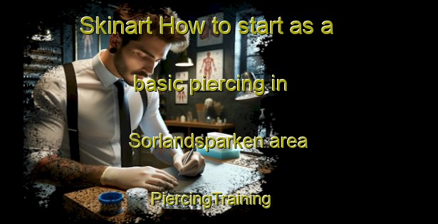 Skinart How to start as a basic piercing in Sorlandsparken area | PiercingTraining | PiercingClasses | SkinartTraining-Norway