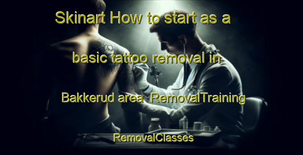 Skinart How to start as a basic tattoo removal in Bakkerud area | RemovalTraining | RemovalClasses | SkinartTraining-Norway
