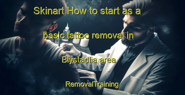Skinart How to start as a basic tattoo removal in Blystadlia area | RemovalTraining | RemovalClasses | SkinartTraining-Norway