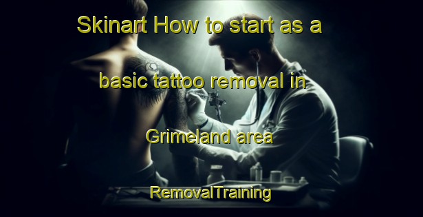 Skinart How to start as a basic tattoo removal in Grimeland area | RemovalTraining | RemovalClasses | SkinartTraining-Norway