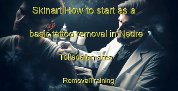 Skinart How to start as a basic tattoo removal in Nedre Tolladalen area | RemovalTraining | RemovalClasses | SkinartTraining-Norway