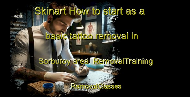 Skinart How to start as a basic tattoo removal in Sorburoy area | RemovalTraining | RemovalClasses | SkinartTraining-Norway