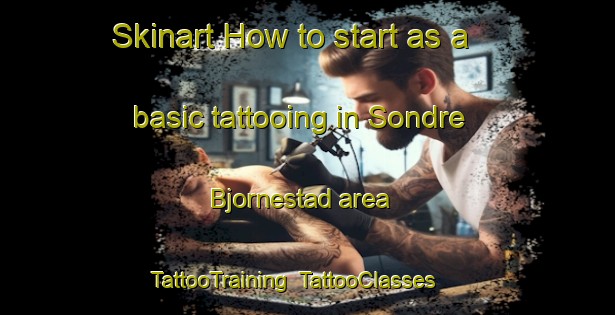 Skinart How to start as a basic tattooing in Sondre Bjornestad area | TattooTraining | TattooClasses | SkinartTraining-Norway