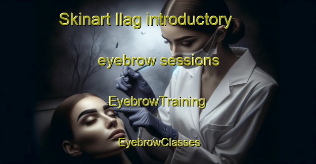 Skinart Ilag introductory eyebrow sessions | EyebrowTraining | EyebrowClasses | SkinartTraining-Norway