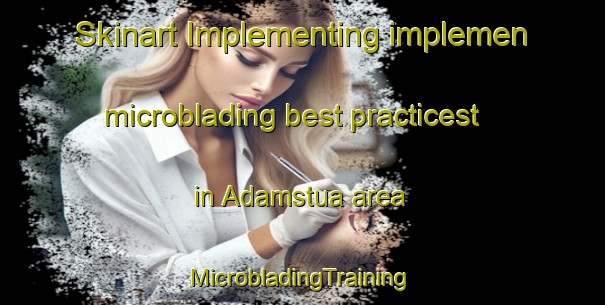 Skinart Implementing implemen microblading best practicest in Adamstua area | #MicrobladingTraining #MicrobladingClasses #SkinartTraining-Norway