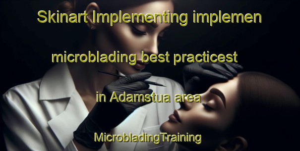 Skinart Implementing implemen microblading best practicest in Adamstua area | #MicrobladingTraining #MicrobladingClasses #SkinartTraining-Norway