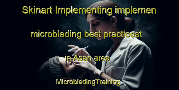 Skinart Implementing implemen microblading best practicest in Asan area | #MicrobladingTraining #MicrobladingClasses #SkinartTraining-Norway