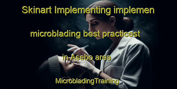 Skinart Implementing implemen microblading best practicest in Asebo area | #MicrobladingTraining #MicrobladingClasses #SkinartTraining-Norway