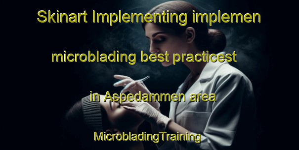 Skinart Implementing implemen microblading best practicest in Aspedammen area | #MicrobladingTraining #MicrobladingClasses #SkinartTraining-Norway