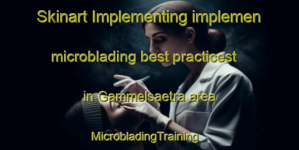 Skinart Implementing implemen microblading best practicest in Gammelsaetra area | MicrobladingTraining | MicrobladingClasses | SkinartTraining-Norway