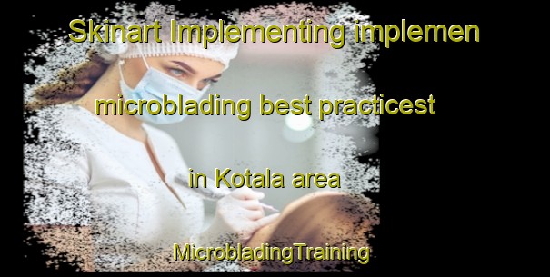 Skinart Implementing implemen microblading best practicest in Kotala area | #MicrobladingTraining #MicrobladingClasses #SkinartTraining-Norway