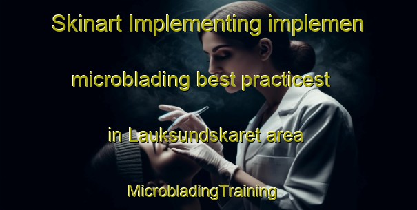 Skinart Implementing implemen microblading best practicest in Lauksundskaret area | MicrobladingTraining | MicrobladingClasses | SkinartTraining-Norway