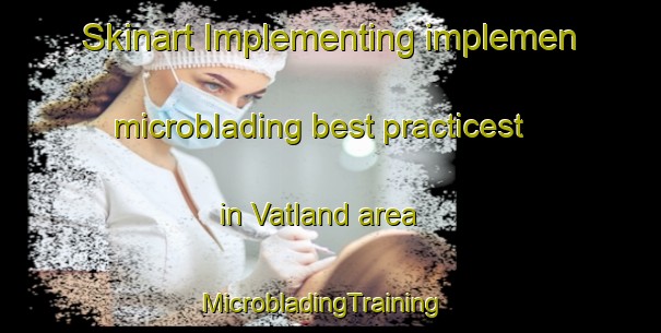 Skinart Implementing implemen microblading best practicest in Vatland area | MicrobladingTraining | MicrobladingClasses | SkinartTraining-Norway