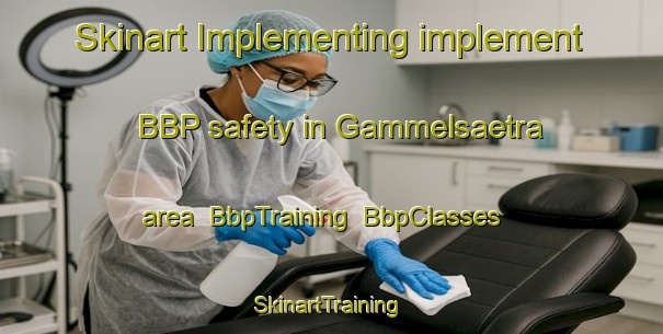 Skinart Implementing implement BBP safety in Gammelsaetra area | BbpTraining | BbpClasses | SkinartTraining-Norway