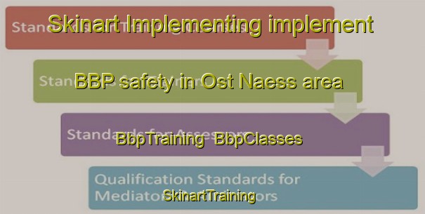 Skinart Implementing implement BBP safety in Ost Naess area | BbpTraining | BbpClasses | SkinartTraining-Norway