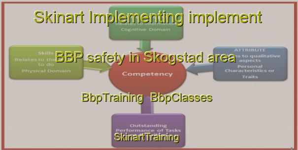 Skinart Implementing implement BBP safety in Skogstad area | BbpTraining | BbpClasses | SkinartTraining-Norway