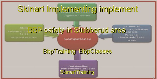 Skinart Implementing implement BBP safety in Stubberud area | BbpTraining | BbpClasses | SkinartTraining-Norway