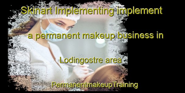 Skinart Implementing implement a permanent makeup business in Lodingostre area | PermanentmakeupTraining | PermanentmakeupClasses | SkinartTraining-Norway