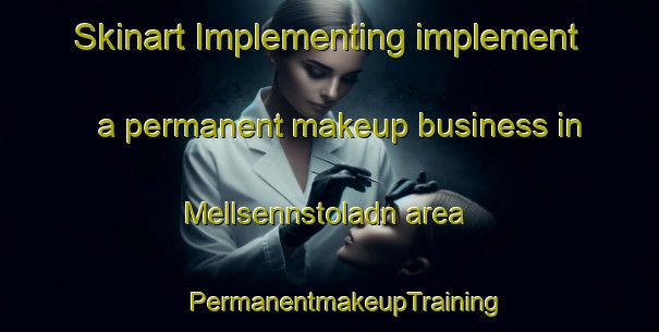 Skinart Implementing implement a permanent makeup business in Mellsennstoladn area | #PermanentmakeupTraining #PermanentmakeupClasses #SkinartTraining-Norway