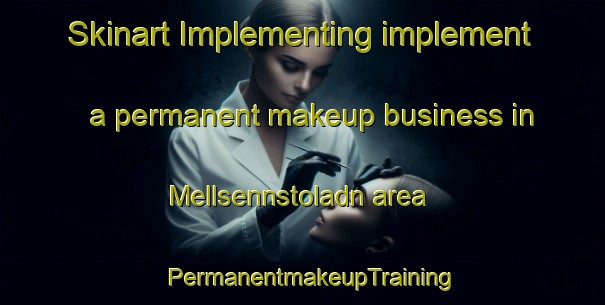 Skinart Implementing implement a permanent makeup business in Mellsennstoladn area | PermanentmakeupTraining | PermanentmakeupClasses | SkinartTraining-Norway
