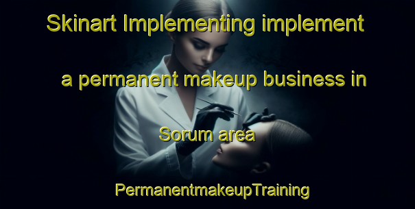 Skinart Implementing implement a permanent makeup business in Sorum area | PermanentmakeupTraining | PermanentmakeupClasses | SkinartTraining-Norway
