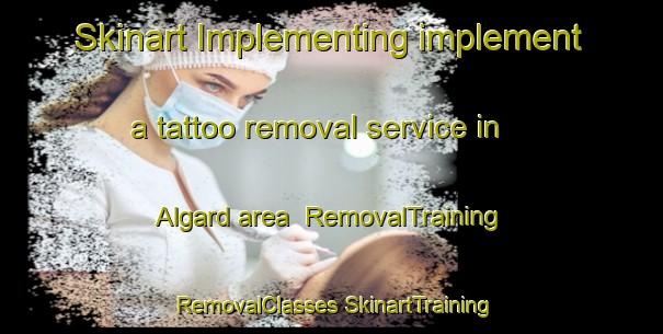 Skinart Implementing implement a tattoo removal service in Algard area | #RemovalTraining #RemovalClasses #SkinartTraining-Norway