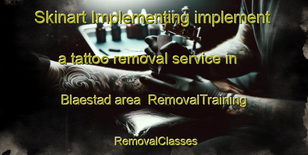 Skinart Implementing implement a tattoo removal service in Blaestad area | RemovalTraining | RemovalClasses | SkinartTraining-Norway