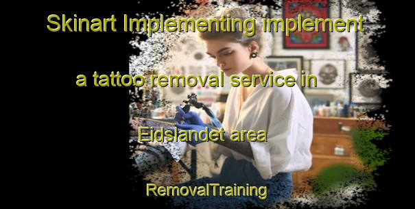 Skinart Implementing implement a tattoo removal service in Eidslandet area | RemovalTraining | RemovalClasses | SkinartTraining-Norway