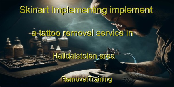 Skinart Implementing implement a tattoo removal service in Halldalstolen area | RemovalTraining | RemovalClasses | SkinartTraining-Norway