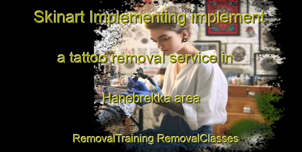 Skinart Implementing implement a tattoo removal service in Hanebrekka area | #RemovalTraining #RemovalClasses #SkinartTraining-Norway