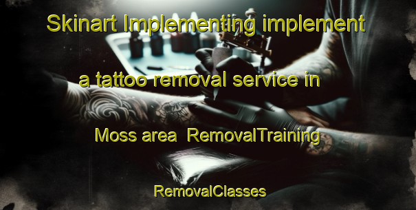 Skinart Implementing implement a tattoo removal service in Moss area | RemovalTraining | RemovalClasses | SkinartTraining-Norway