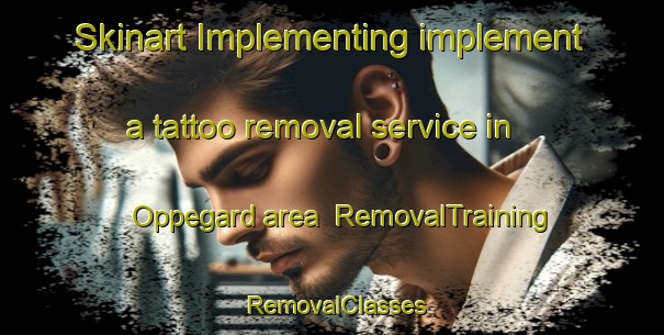 Skinart Implementing implement a tattoo removal service in Oppegard area | RemovalTraining | RemovalClasses | SkinartTraining-Norway