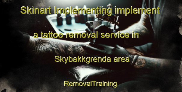 Skinart Implementing implement a tattoo removal service in Skybakkgrenda area | RemovalTraining | RemovalClasses | SkinartTraining-Norway