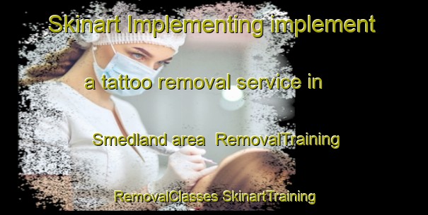 Skinart Implementing implement a tattoo removal service in Smedland area | #RemovalTraining #RemovalClasses #SkinartTraining-Norway