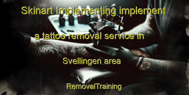 Skinart Implementing implement a tattoo removal service in Svellingen area | RemovalTraining | RemovalClasses | SkinartTraining-Norway