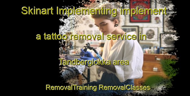 Skinart Implementing implement a tattoo removal service in Tandberglokka area | #RemovalTraining #RemovalClasses #SkinartTraining-Norway