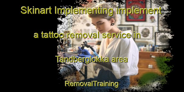 Skinart Implementing implement a tattoo removal service in Tandberglokka area | RemovalTraining | RemovalClasses | SkinartTraining-Norway