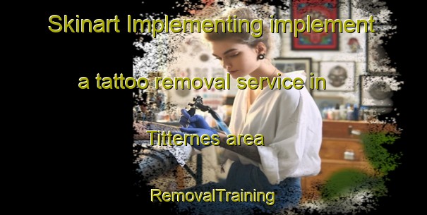 Skinart Implementing implement a tattoo removal service in Titternes area | RemovalTraining | RemovalClasses | SkinartTraining-Norway