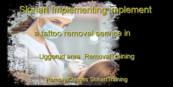 Skinart Implementing implement a tattoo removal service in Uggerud area | #RemovalTraining #RemovalClasses #SkinartTraining-Norway