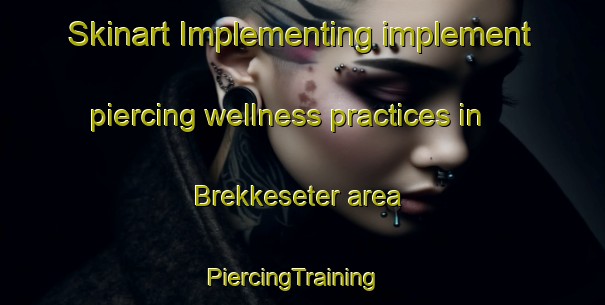 Skinart Implementing implement piercing wellness practices in Brekkeseter area | PiercingTraining | PiercingClasses | SkinartTraining-Norway