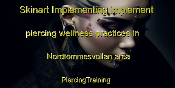 Skinart Implementing implement piercing wellness practices in Nordtommesvollan area | #PiercingTraining #PiercingClasses #SkinartTraining-Norway