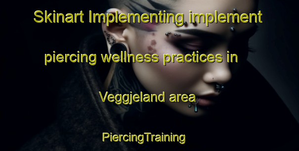 Skinart Implementing implement piercing wellness practices in Veggjeland area | PiercingTraining | PiercingClasses | SkinartTraining-Norway