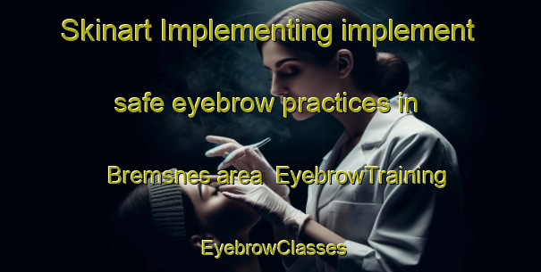 Skinart Implementing implement safe eyebrow practices in Bremsnes area | EyebrowTraining | EyebrowClasses | SkinartTraining-Norway