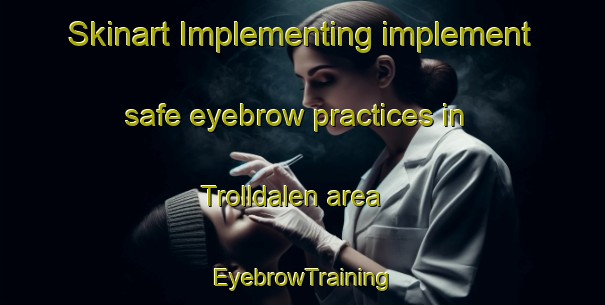 Skinart Implementing implement safe eyebrow practices in Trolldalen area | EyebrowTraining | EyebrowClasses | SkinartTraining-Norway