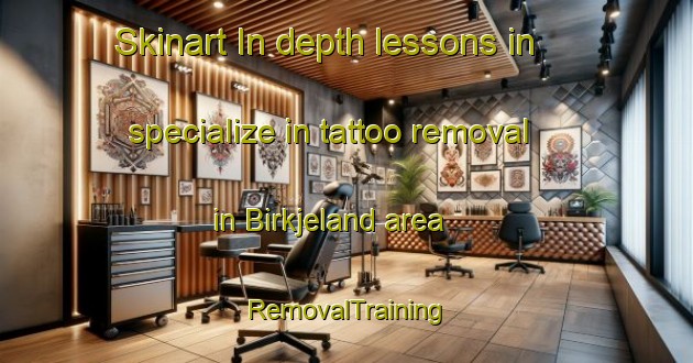 Skinart In-depth lessons in specialize in tattoo removal in Birkjeland area | RemovalTraining | RemovalClasses | SkinartTraining-Norway