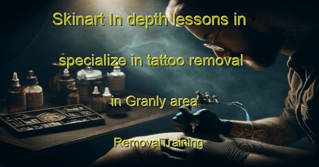 Skinart In-depth lessons in specialize in tattoo removal in Granly area | RemovalTraining | RemovalClasses | SkinartTraining-Norway